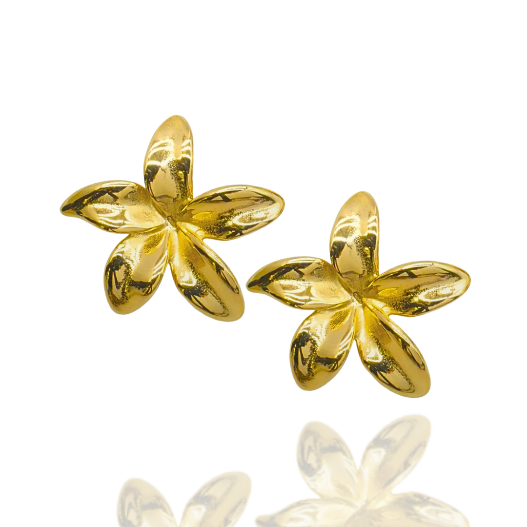 Boucles d'oreilles Barbara Écrin Divin