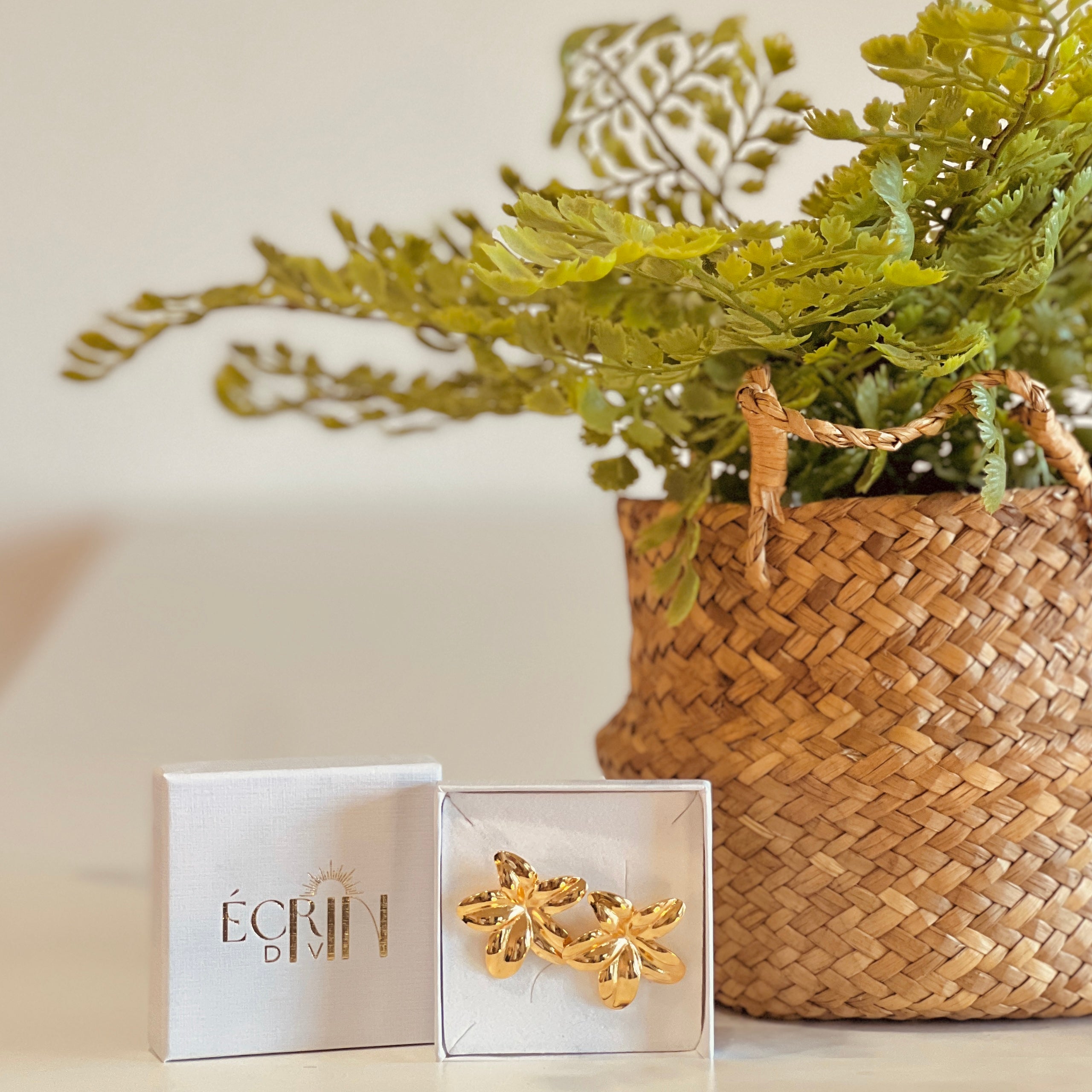 Boucles d'oreilles Barbara Écrin Divin