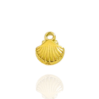 Breloque Coquille Écrin Divin