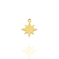 Breloque Étoile Écrin Divin