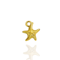 Breloque Étoile de Mer Écrin Divin