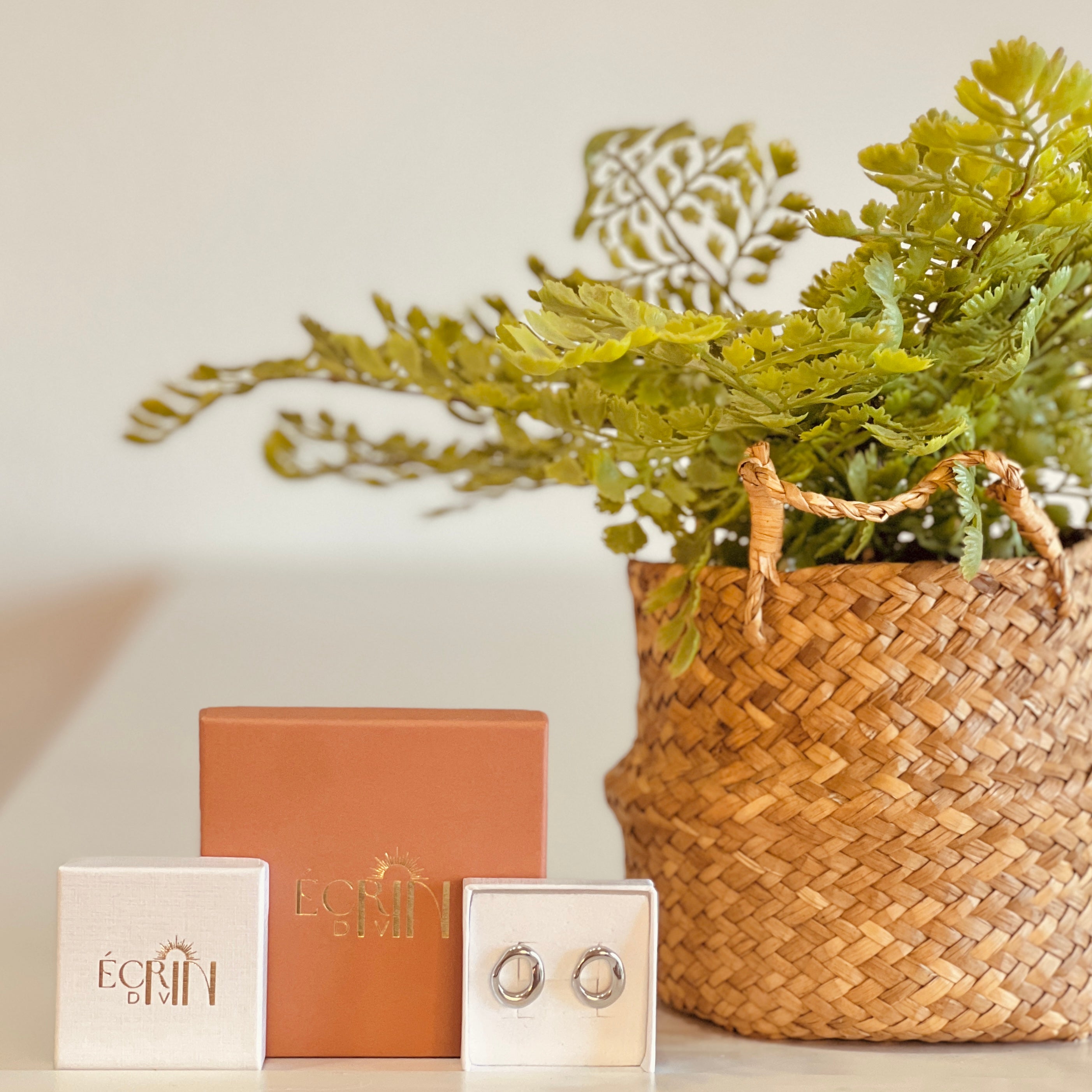 Boucles d'oreilles Céline Écrin Divin