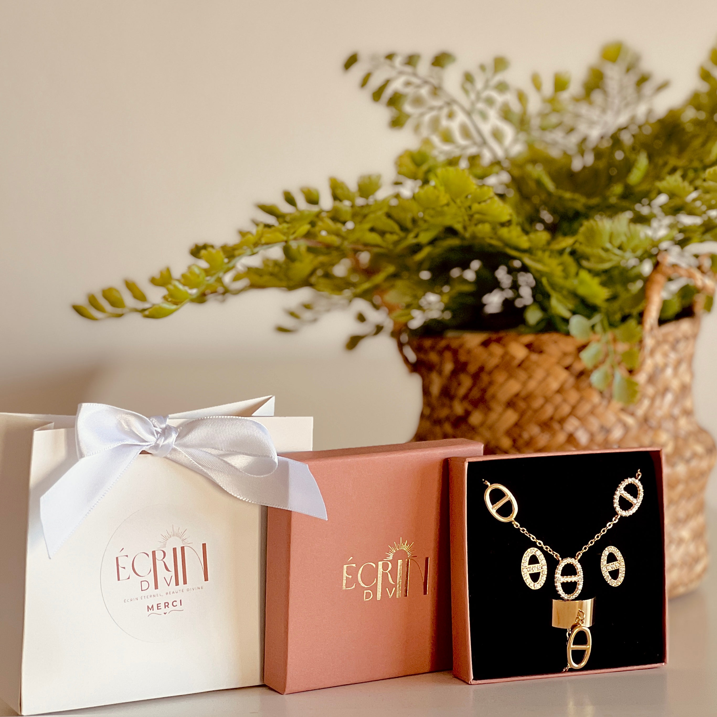 Coffret Noel Celine + Pochette Cadeau offerte Écrin Divin
